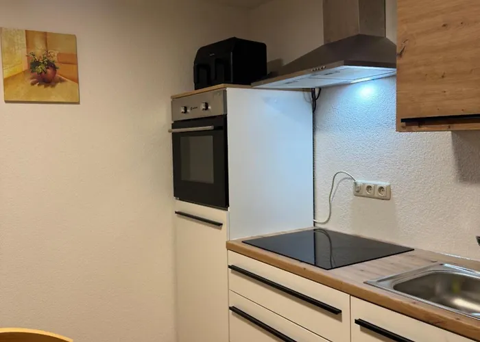 Apartment Stilvolle Im Herzen Von Arnstadt, Modern & Zentral *